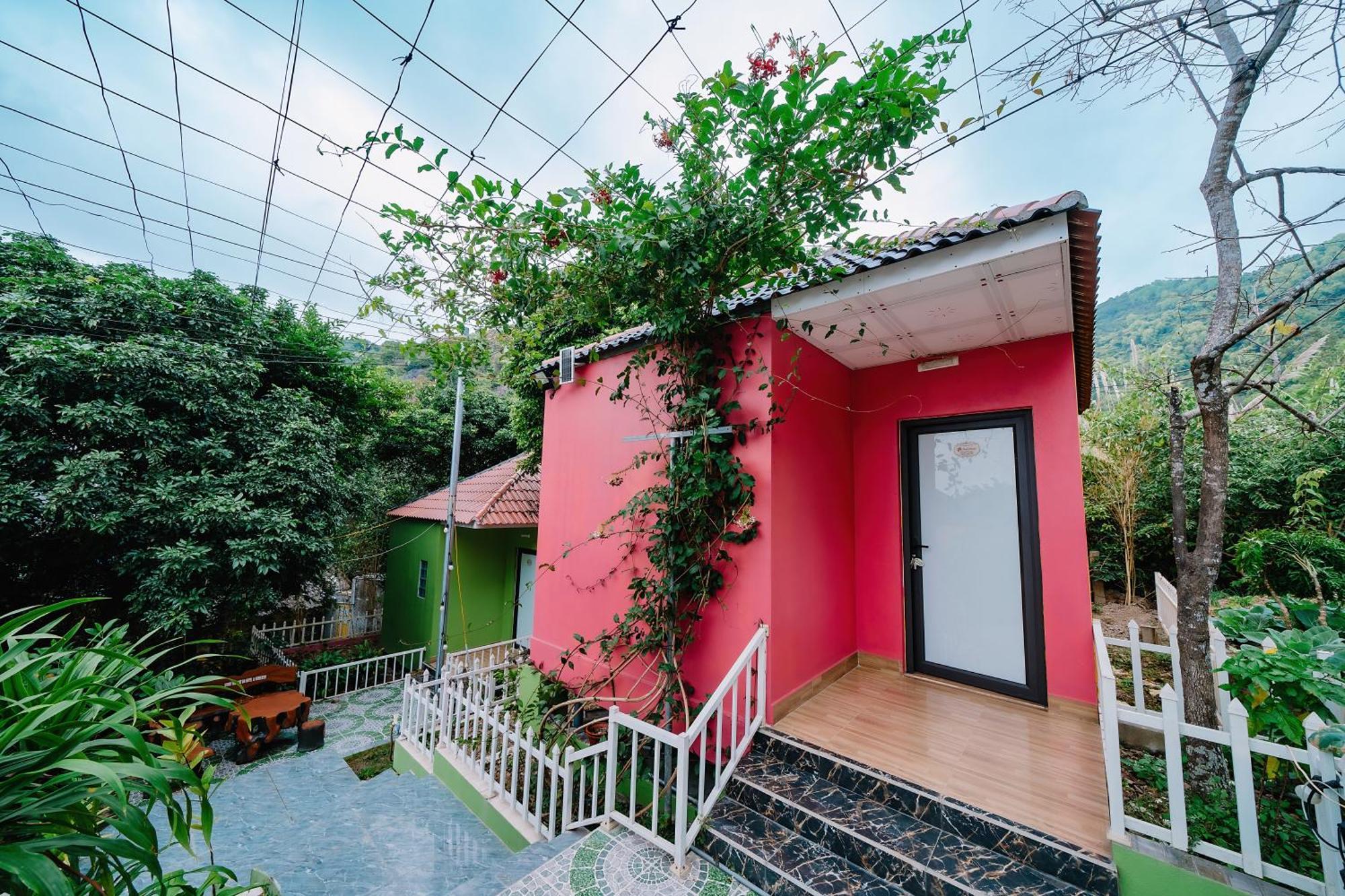 Windy Homestay Cat Ba Island Exterior photo