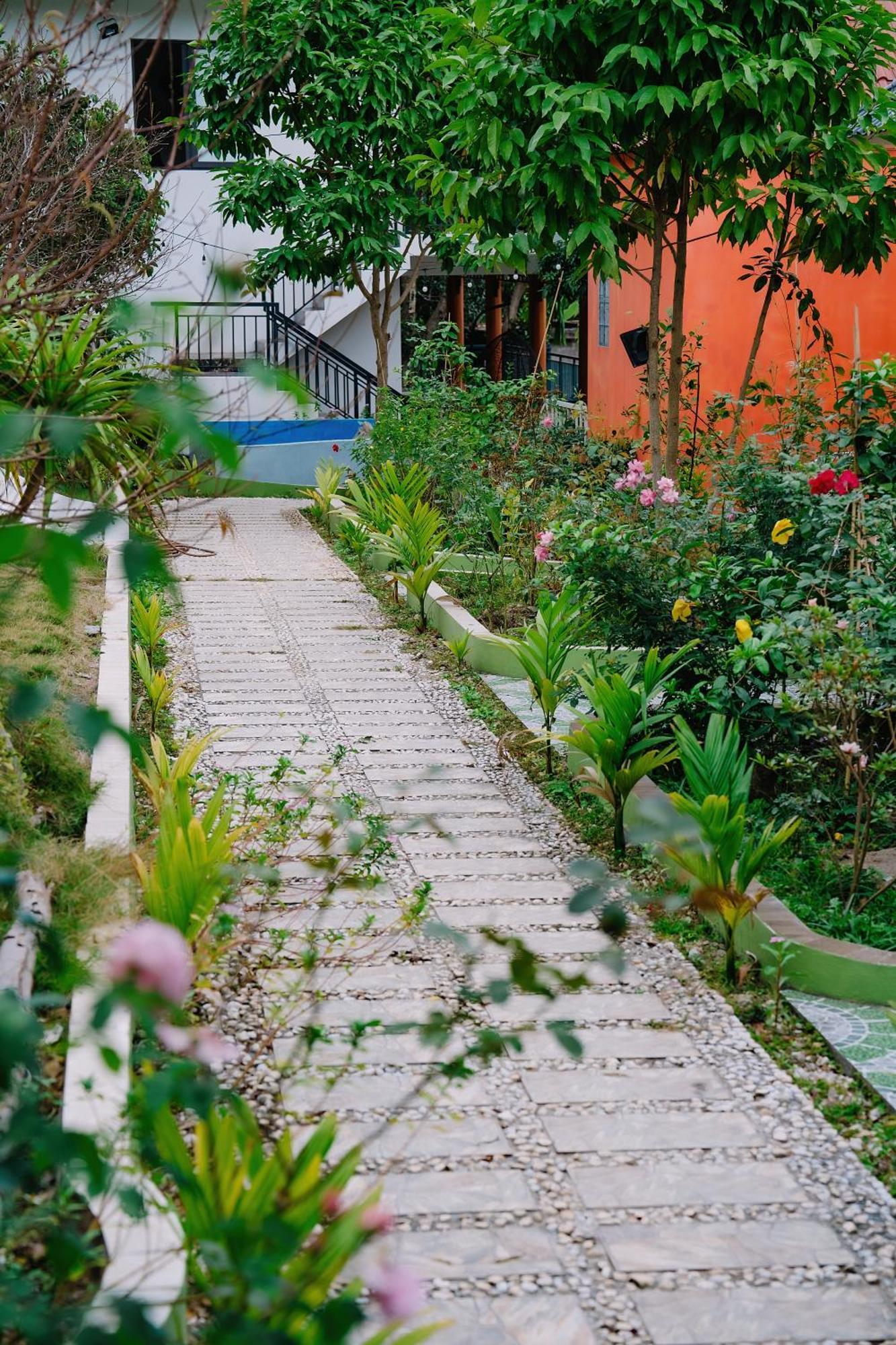 Windy Homestay Cat Ba Island Exterior photo